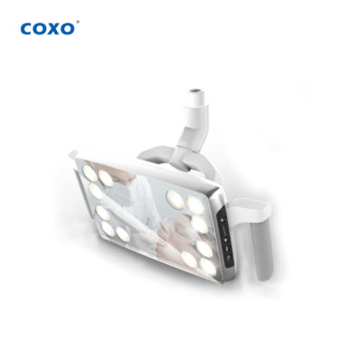 CX249-24